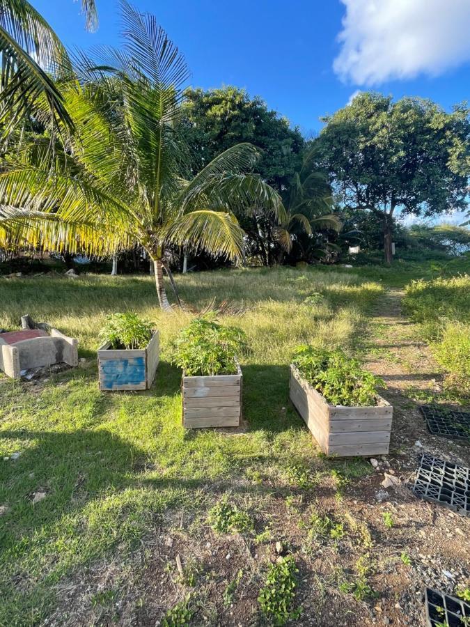 2 Bungalows Au Bord De La Plage De Montal A Moule Loues Individuellement Ou Ensemble Льо Мул Екстериор снимка